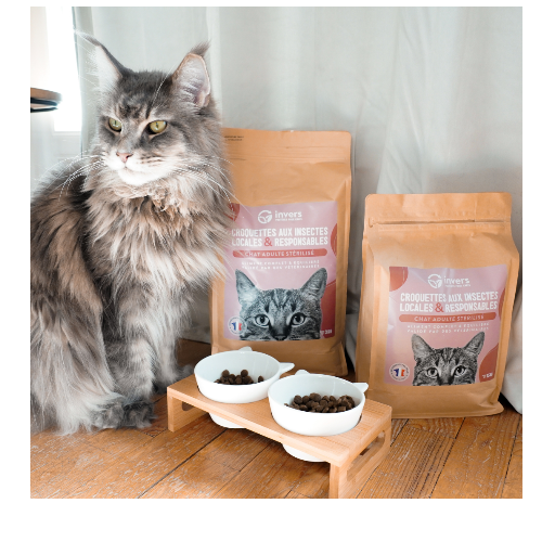 Croquettes aux insectes pour chat adulte