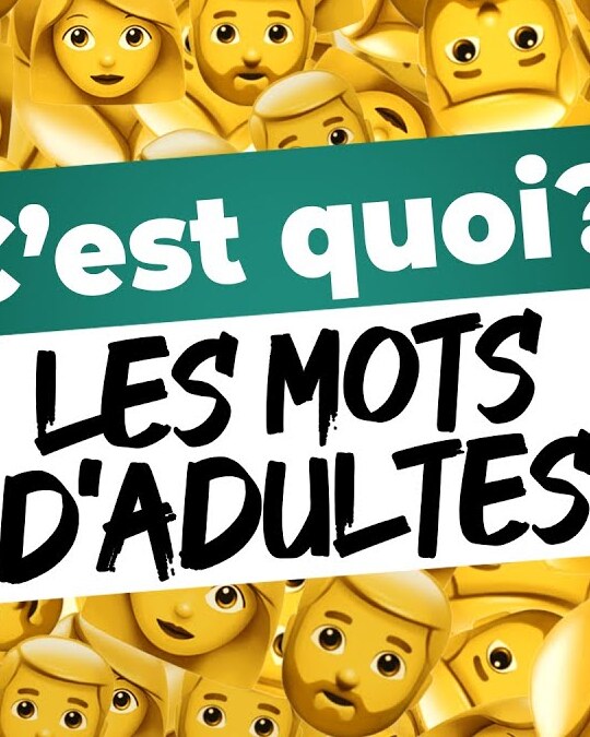 PROLIXE | C'EST QUOI LES MOTS D'ADULTES