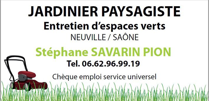 SAVARIN-PION STEPHANE