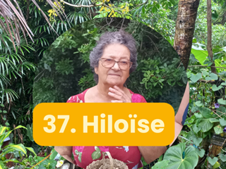 37 - Hiloïse