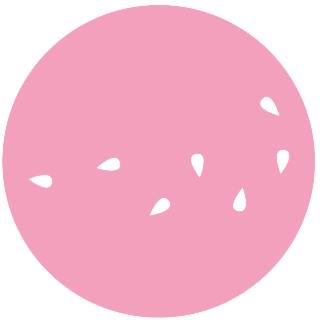 L'illustration Japan Party 13e édition