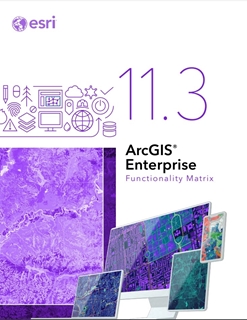 Matrice des fonctionnalités ArcGIS Enterprise 11.3