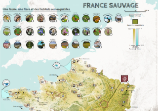 [SIG 2025] France Sauvage