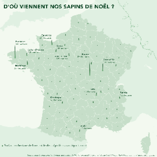 D'où viennent nos sapins de Noël ?