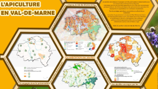 [SIG 2025] L'apiculture en Val-de-Marne