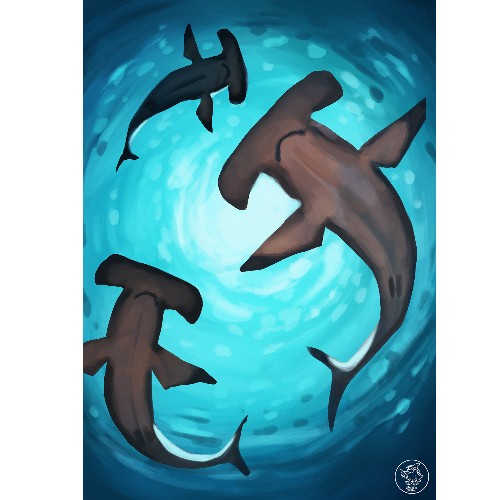 Print Requin marteau