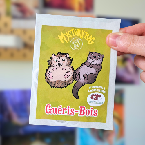 Mystery Bag Guéris-Bois