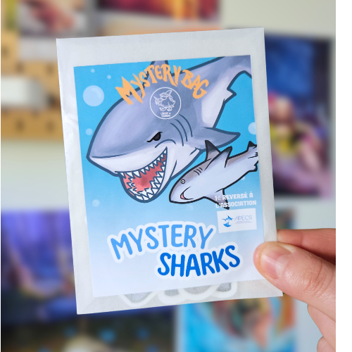 Mystery Bag Mystery Sharks