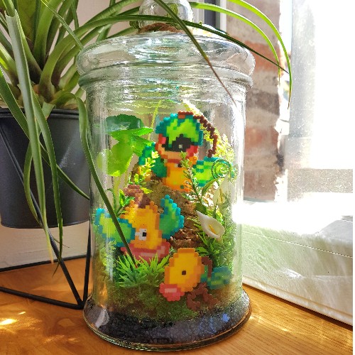 Terrarium Chétivolution