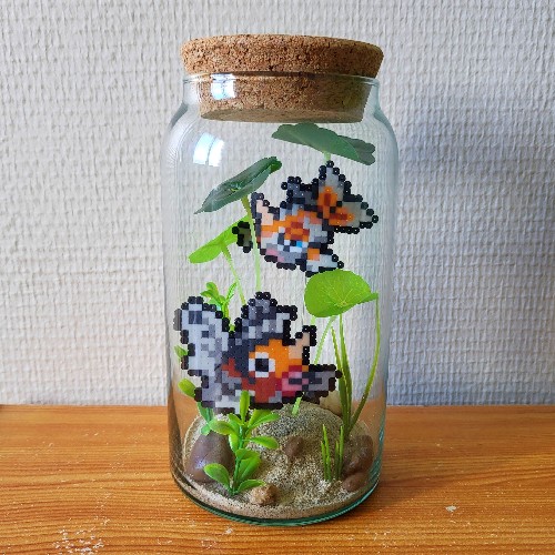 Couple de poissons fantastiques