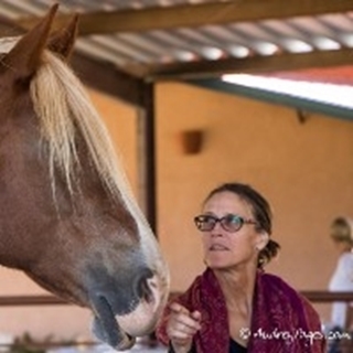 Non-Predatory Leadership - When Horses are "People Whisperers"