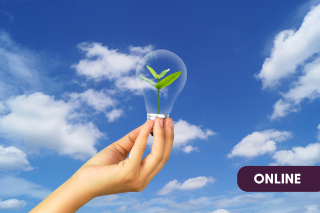 International Webinar Empowering Women, Advancing Governance: Sustainability, Regulation & Impact