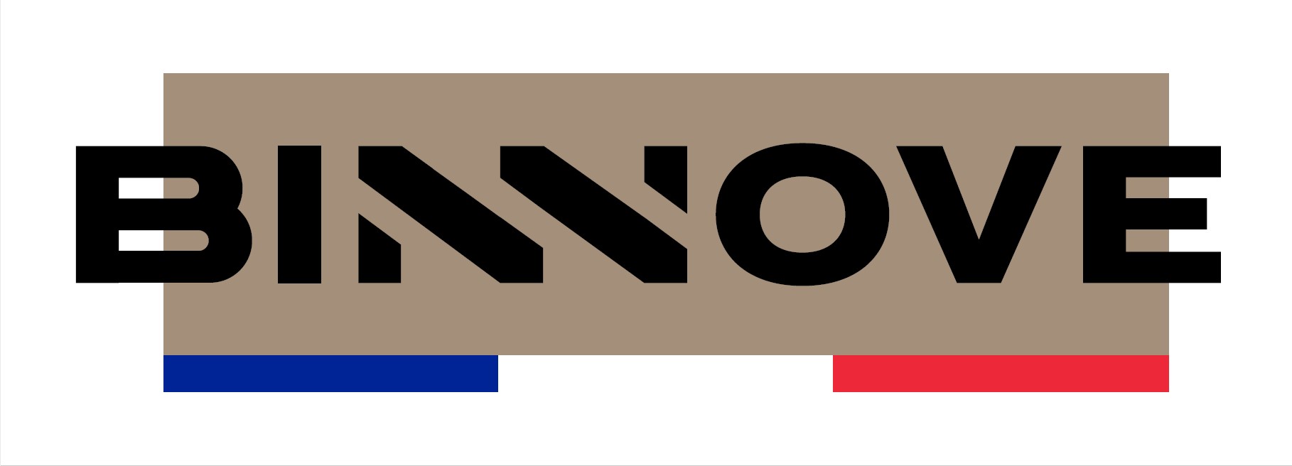 BINNOVE SAS