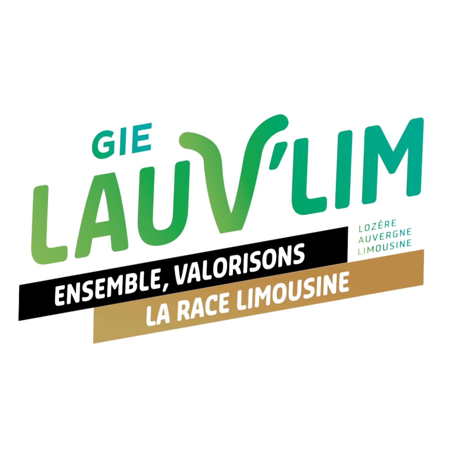 GIE LAUV'LIM