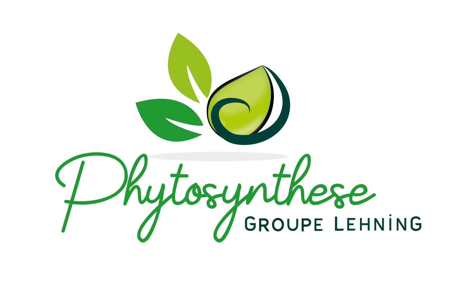 PHYTOSYNTHESE