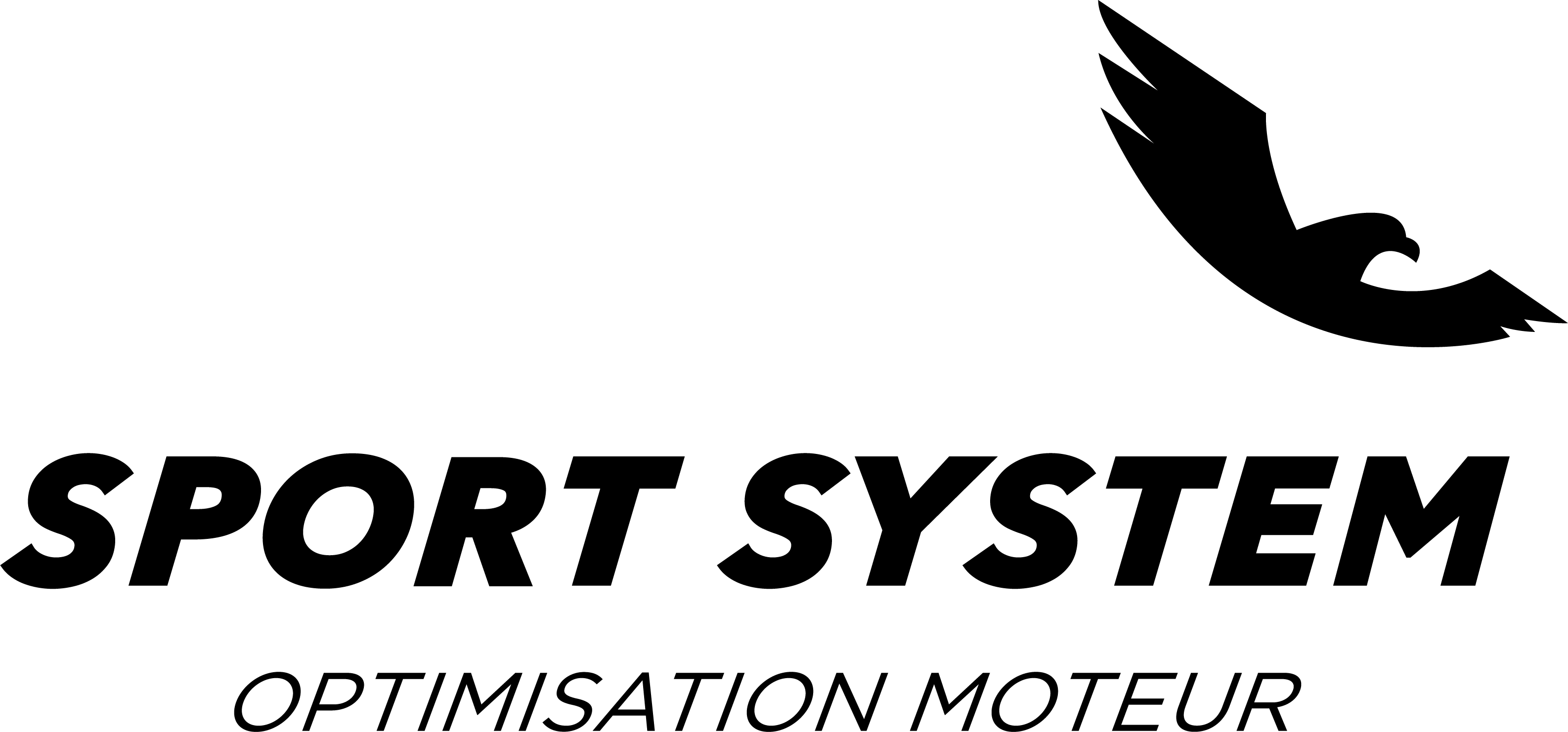 SPORT SYSTEM