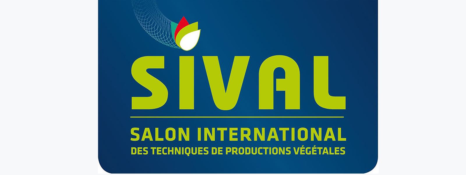 Sival