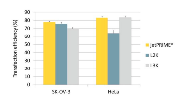 Transfection - jetPRIME® 