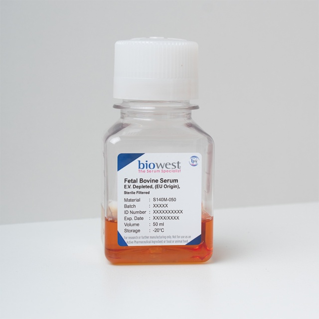 Sérum de Veau Foetal (SVF), E.V. Depleted (sans exosome)
