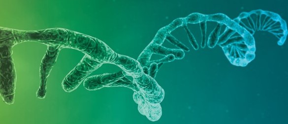 CORALL - Séquençage complet du transcriptome