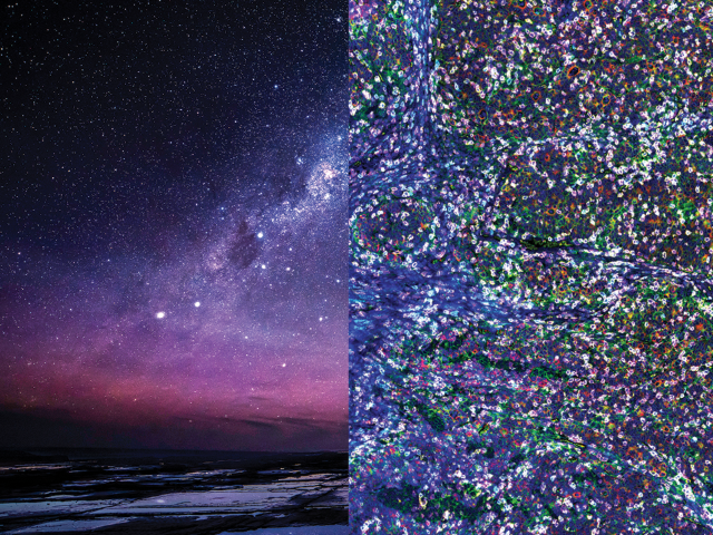 Biologie Spatiale - SignalStar™ Multiplex IHC