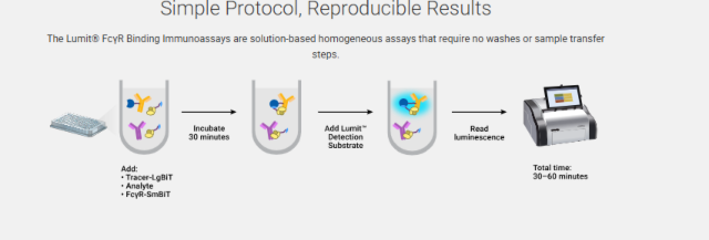 Lumit® FcγR Binding Immunoassays