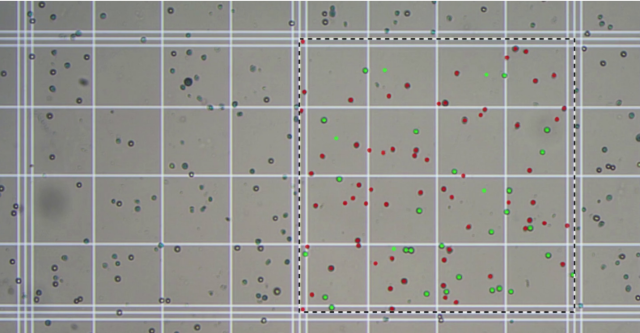 ZEISS Labscope AI counting chamber