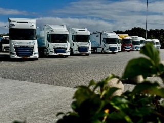 Marché V.I. 2025 : léger rebond des immatriculations, l’électrique atteint 2 %