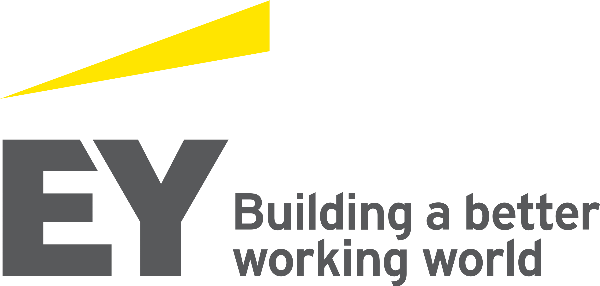 ERNST & YOUNG ADVISORY LYON