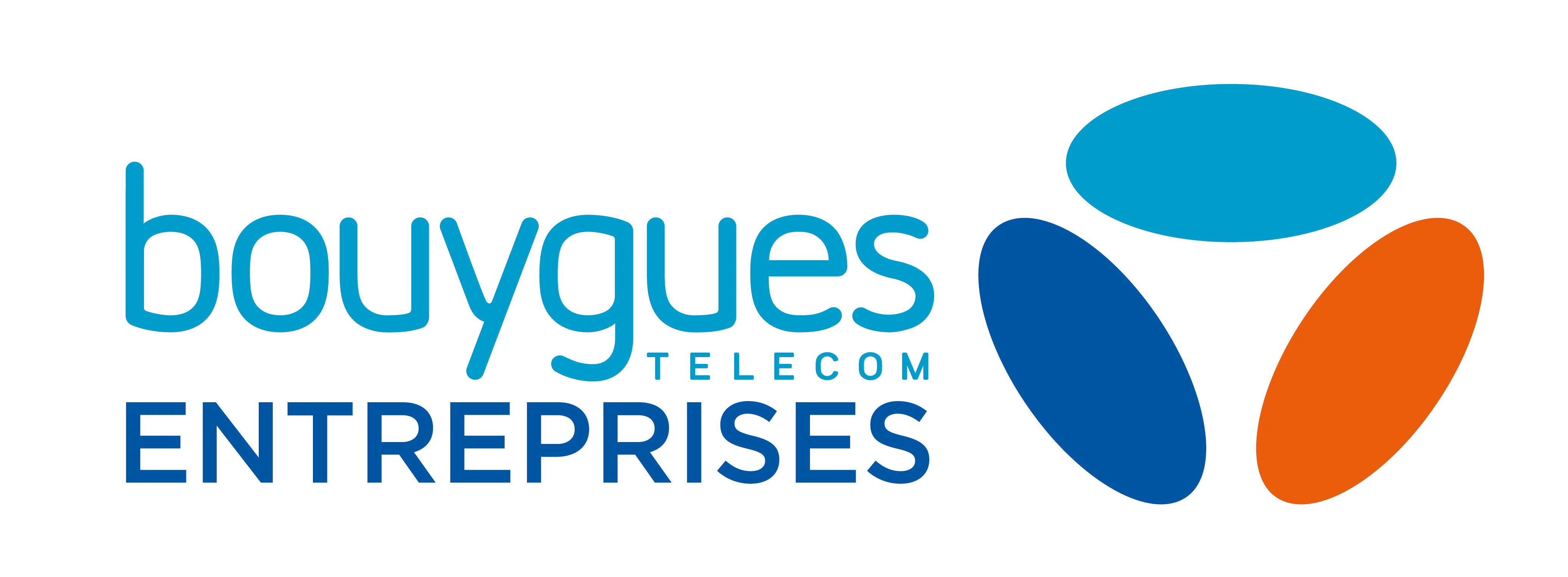 BOUYGUES TELECOM ENTREPRISES