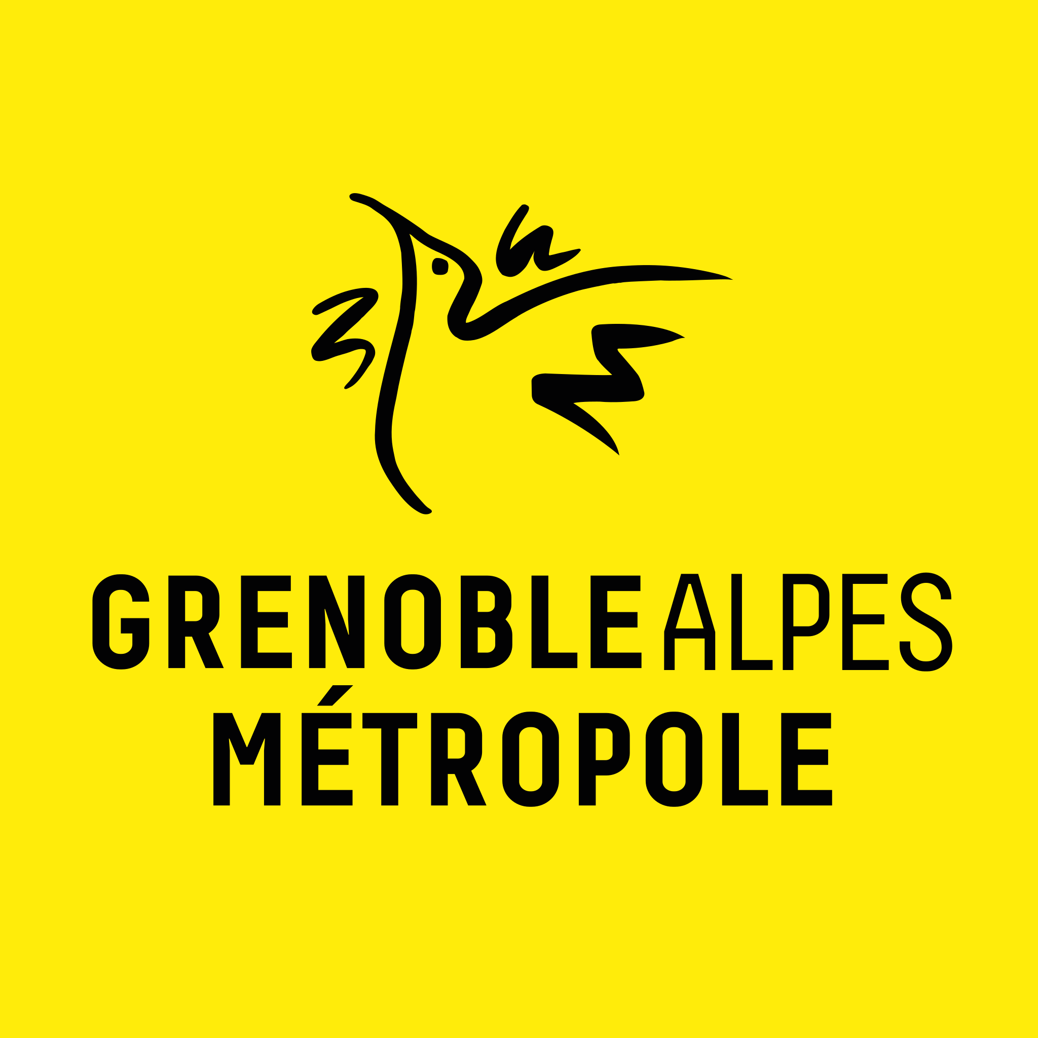 VILLE DE GRENOBLE - GRENOBLE ALPES METROPOLE