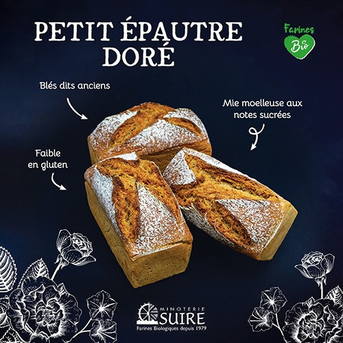Petit Épeautre Doré