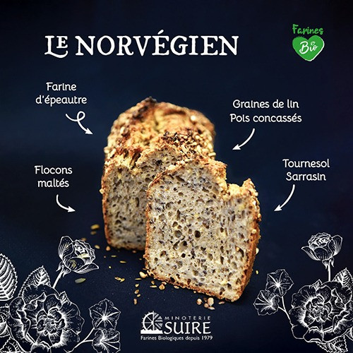 Norvégien