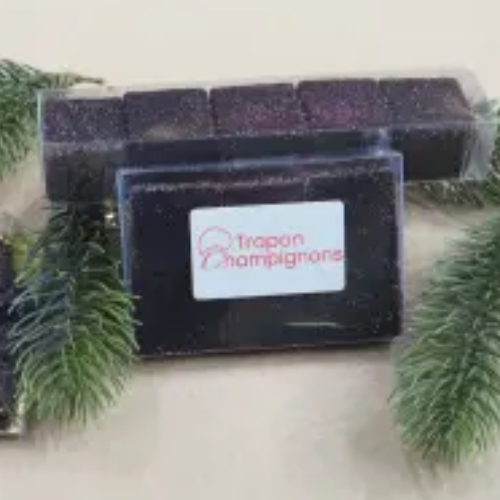 PATE DE FRUITS ARTISANALES MYRTILLES SAUVAGES