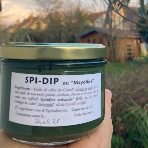 SPI DIP Mayoline Citron & Spiruline