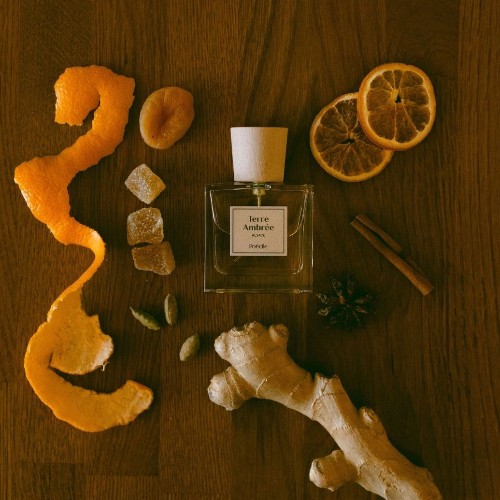 Terre Ambrée - Alsace