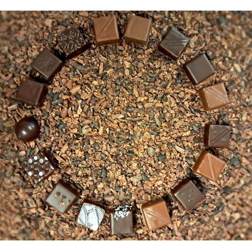 Ganache 59% de cacao et pralinés