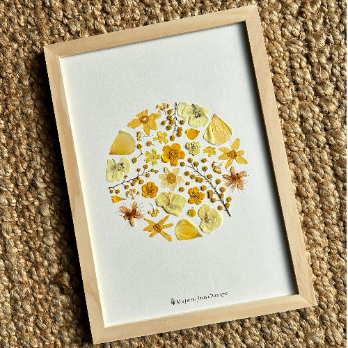 Tableaux herbiers en fleurs d'Auvergne