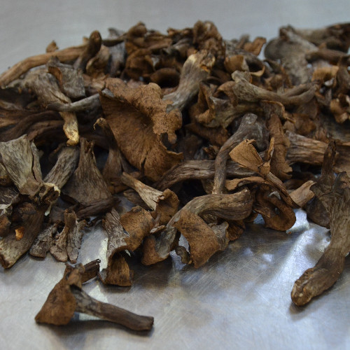 Trompettes de la Mort