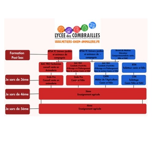Nos parcours de formation scolaire et apprentissage