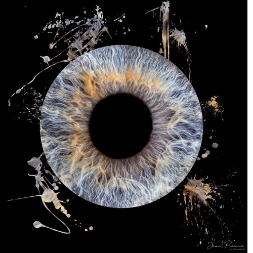 Séance Iris Quattro