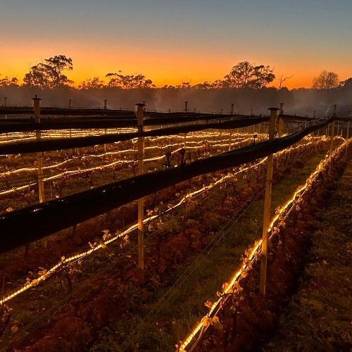 Frolight protection antigel Frolight