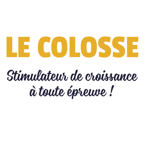 LE COLOSSE