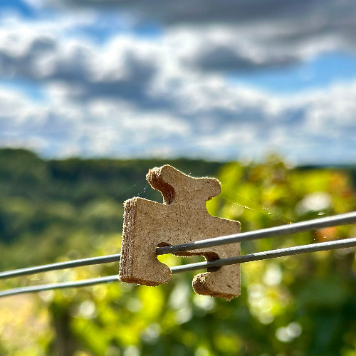 Agrafes de palissage