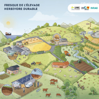 La Fresque de l'élevage herbivore durable: un nouvel outil pour mieux comprendre et débattre