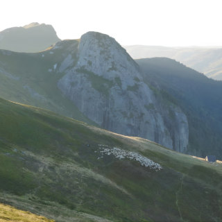 2026 : année internationale du pastoralisme : on vous explique tout (avec Rencontres Pasto)