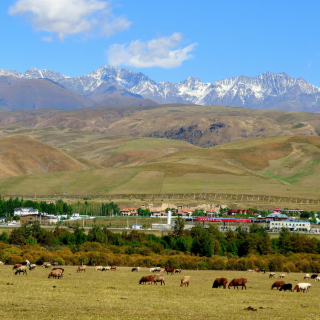 Au Sommet de l’élevage, le Kazakhstan présente un modèle pastoral singulier