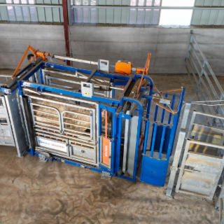 Bovins viandes : La cage Andrieu qui simplifie vos interventions en toute sécurité