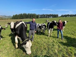 « Nous dégageons 74 000 € de revenu disponible à deux en bio avec 36 vaches laitières »