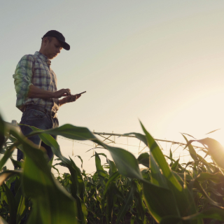 Les principales infos agricoles qui ont rythmé l’année 2025